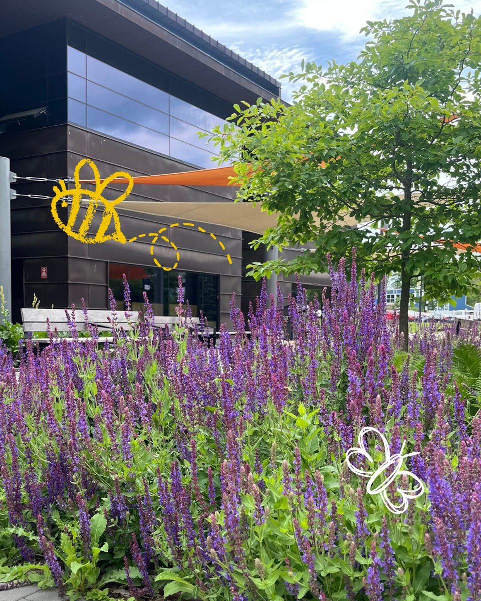 UTSC's tweet photo. Friendly reminder that campus is closed Monday, August 3 for the Civic holiday. Wishing our community a great long weekend! #UTSC #UofT #ScarbTO https://t.co/mJG5oo2Q4V