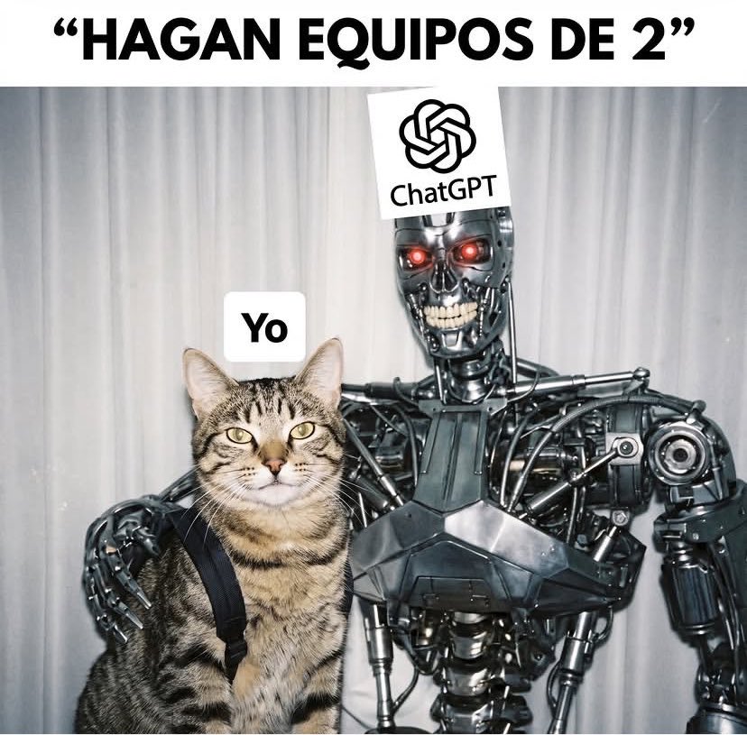 nacional_memes's tweet photo. 🐱 https://t.co/qkKyHaRFxh