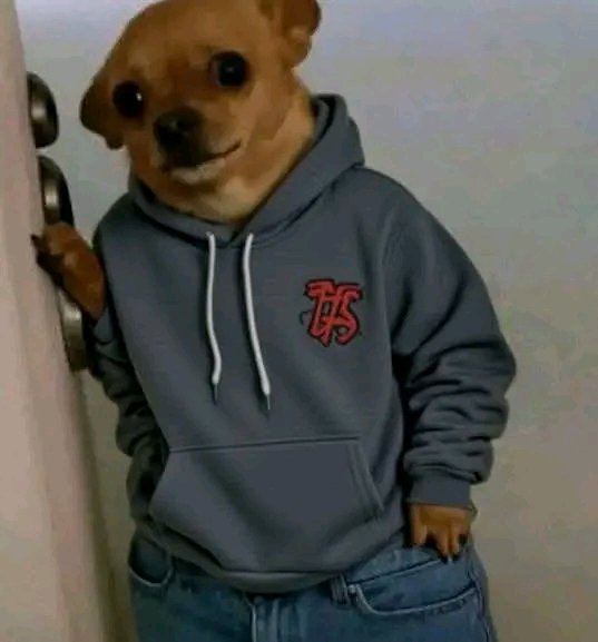 Masindii_'s tweet photo. Your boyfriend watching you get TOO comfy around his friends. https://t.co/dvLgoo6Zxt