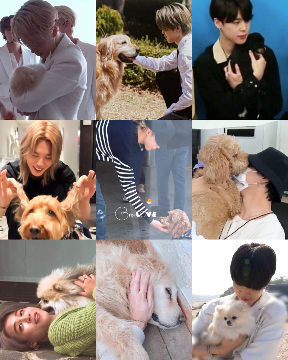 ItkingJimin13's tweet photo. Jimin and puppies are always the cutest combination https://t.co/FBNfgVQpWS