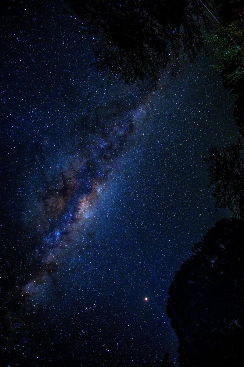 ScienceAndNatu7 tweet picture