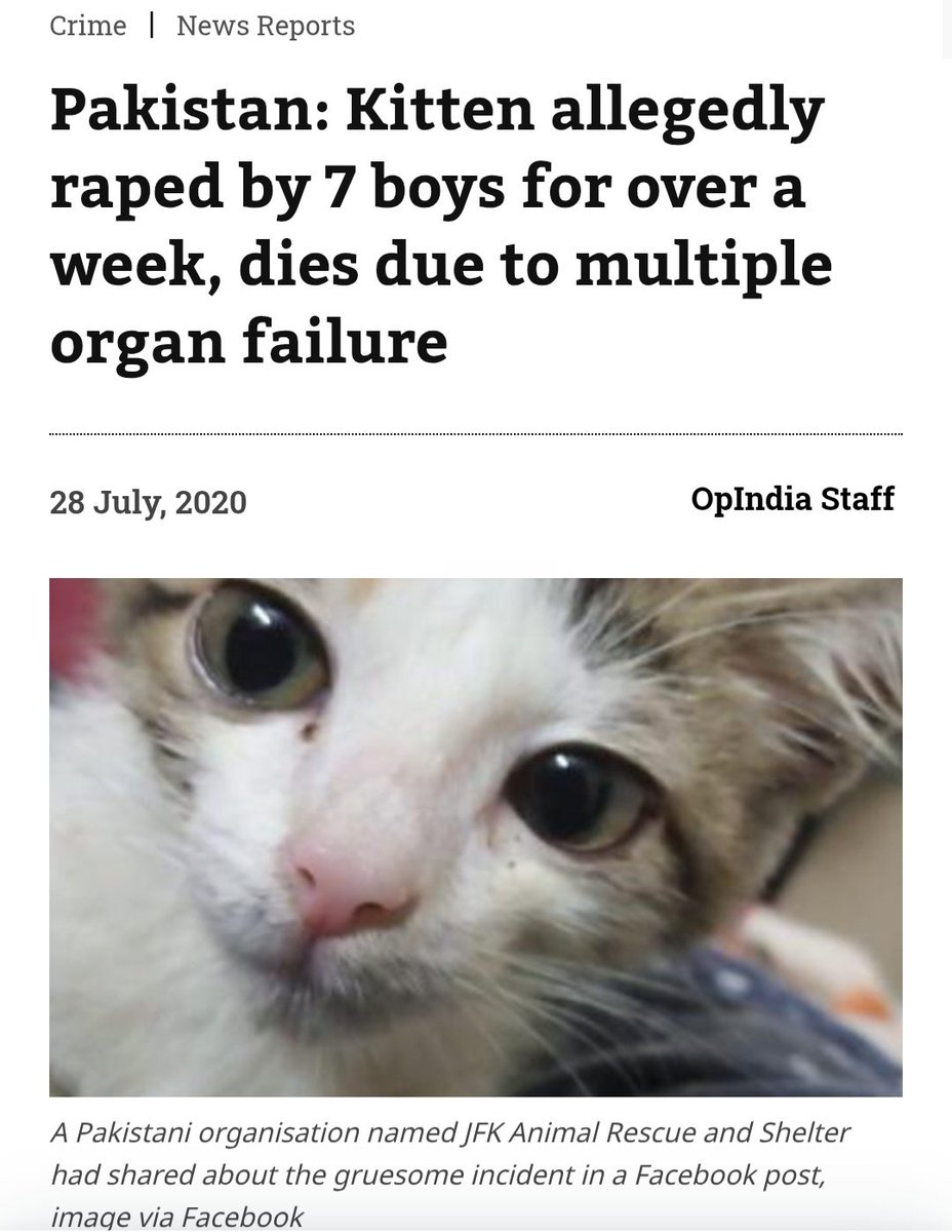 Alterego_nyk's tweet photo. Pakistan is a filth paradise for rapists and pedos , West 🇬🇧🇪🇸🇺🇸🇮🇹🇪🇸🇩🇪should kick the women , children and animal abusers🇵🇰 from their land.

#JusticeForVictims #EndRapeCulture #Grooming_gang🇵🇰
#StopChildAbuse#AntiRape https://t.co/0fkdGGqLWR