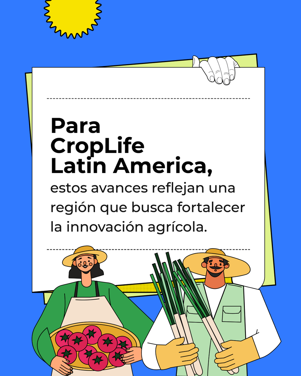CropLife_La's tweet photo. 🌎 La transformación del agro en América Latina requiere fortalecer la ciencia, la innovación, la cooperación y marcos regulatorios basados en evidencia. Iniciativas como CuidAgro reflejan cómo el conocimiento y las buenas prácticas también hacen parte de esa transformación, impulsando una agricultura más preparada para los desafíos del presente y del futuro.
🔁 Repostea esta publicación y ayudemos a que más personas conozcan las iniciativas que fortalecen la agricultura.
Lee más en: https://t.co/gn1edksaIU