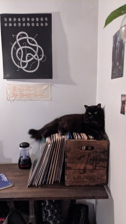 UniswapCat's tweet photo. 🐈‍⬛ $STELLA MEME CONTEST 🖤🤍 #memecontest 

CA: 0xD2259fcb0408417ab93a637e1ea357c6FFb7D786

Time to show us your best memes!

📝 Requirements
✅ Follow @UniswapCat and join X community
✅ Like and retweet this post
✅ Post your meme in the comments below
✅ Tag @aulneau in your post
✅ Include $STELLA in your tweet with the meme

🏆 Prizes
🥇 1st Place: $50
🥈 2nd Place: $30
🥉 3rd Place: $20

Will be sent on Fomo so make sure you have an account there!

⏰ The winners will be selected 24 hours from now — August 2, 2026, at 00:48 CEST (UTC+2).

Be creative, make us laugh, and help spread the word about $STELLA! 🐈‍⬛🖤🤍

Use the images below! Good luck! 🚀

#memes #contest #giveaway