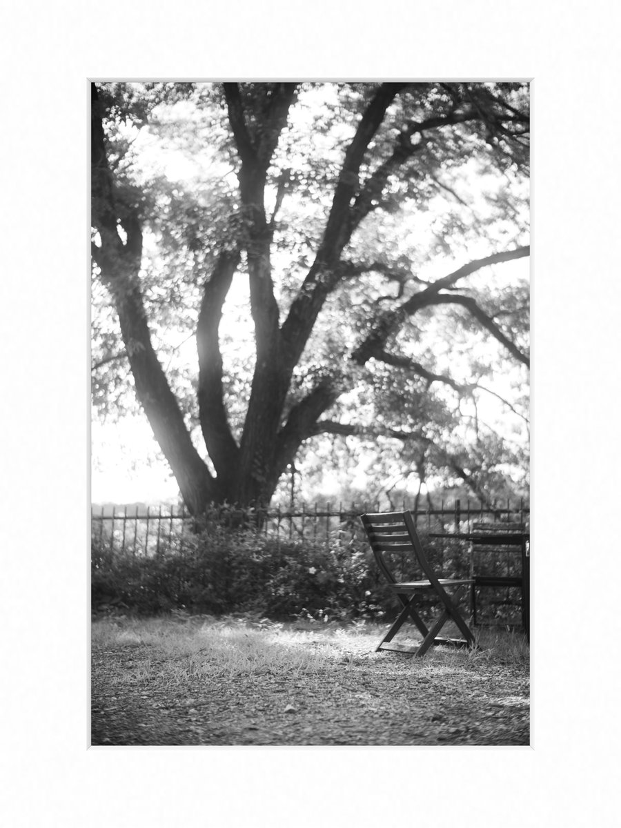 TWDDL_YT's tweet photo. Fragments of Moominvalley / 4

- - -

#KakouFrame https://t.co/hAcW2CoErY