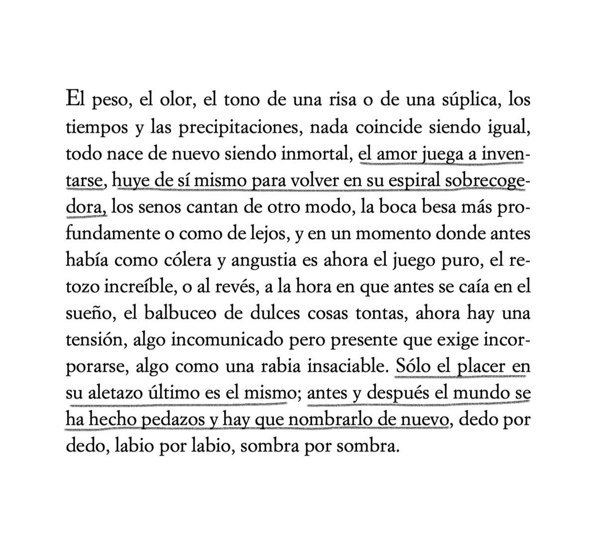 Ismaellg90's tweet photo. Lo de Julio Cortázar no era normal. Qué sutileza. https://t.co/TTNOHdUcXj