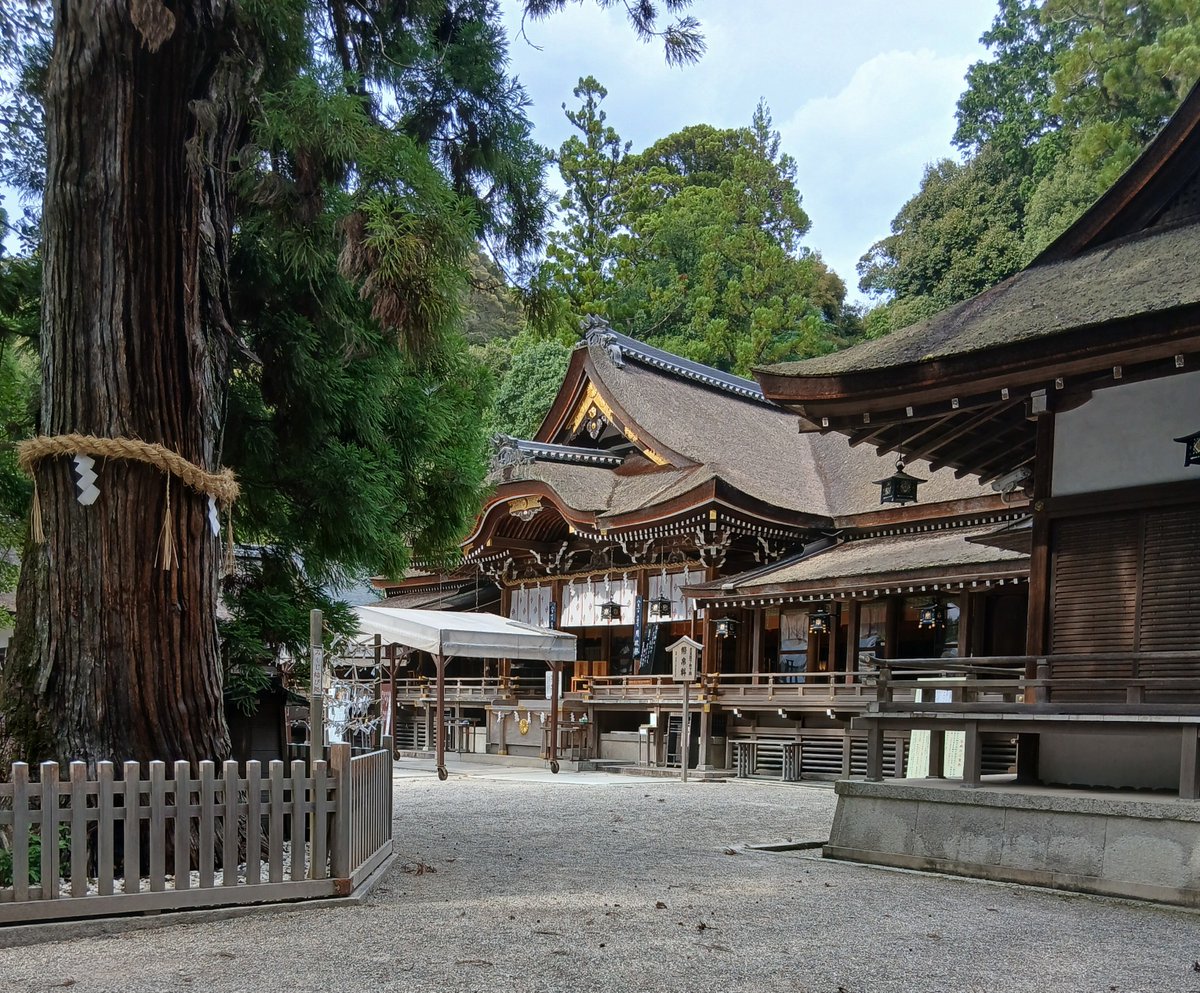 aikawa_aita's tweet photo. 奈良県の大神(みわ)神社にお参り

神社は都会にあっても木々が生い茂っている。ヨーロッパの有名な教会で周囲に木が植わっているところを私は知らない。

自然の中に神が宿るか宿らないか、感性の違いに依るのかもしれない https://t.co/IPug4OhoTx