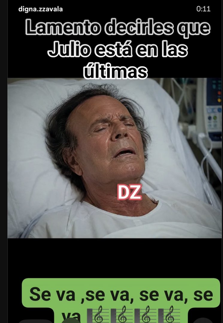 PILAR VIVES CRUELLS tweet media
