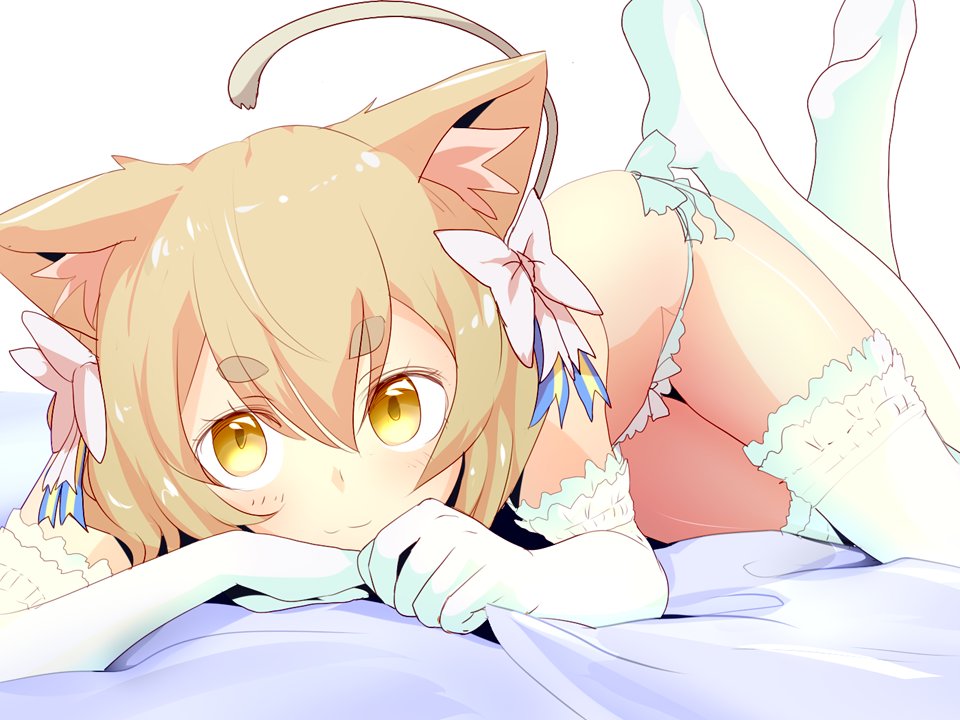 KnightofCrusch's tweet photo. A cat in your bed. https://t.co/Br8B5xlHHE