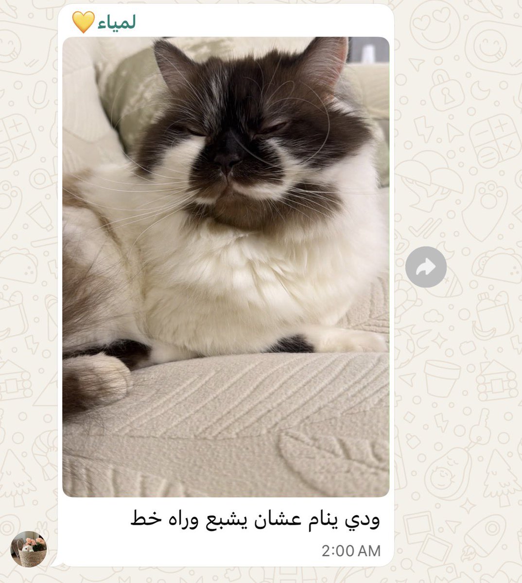 iraghad_144's tweet photo. معاملة طفل وربي😭😂 https://t.co/rQnk8hlnpW