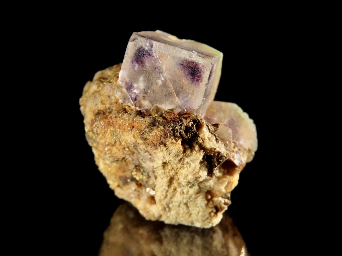 oiseau_mineral's tweet photo. Fluorite
Near Astro Mine, Sentinel rock, Pikes Peak, El Paso County, Colorado, USA.
17.2×17.8×14.8mm https://t.co/Uw3Rli4Ij2