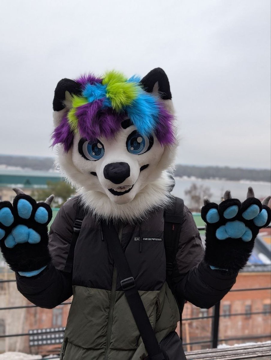 Emka25O's tweet photo. 🐾 🦊🐾 https://t.co/kjEgXPrk1K