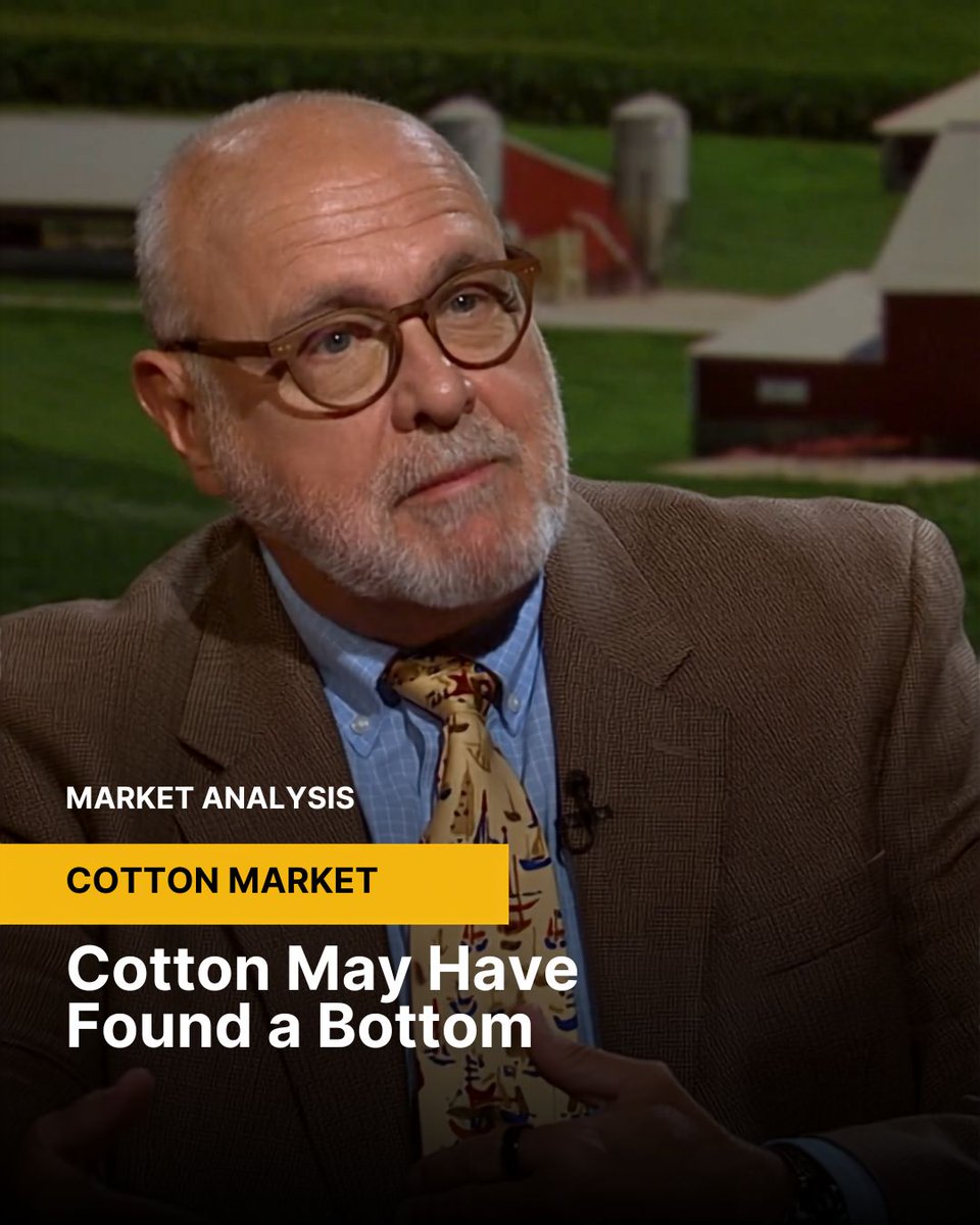 MarketToMarket's tweet photo. Cotton prices have surged due to a weak crop. Dan Hueber discusses the long term implications in our Market Analysis:
https://t.co/hfL9GNM2XO
#Cotton #CommodityMarkets #MarketToMarket https://t.co/edcNXnQ1Go