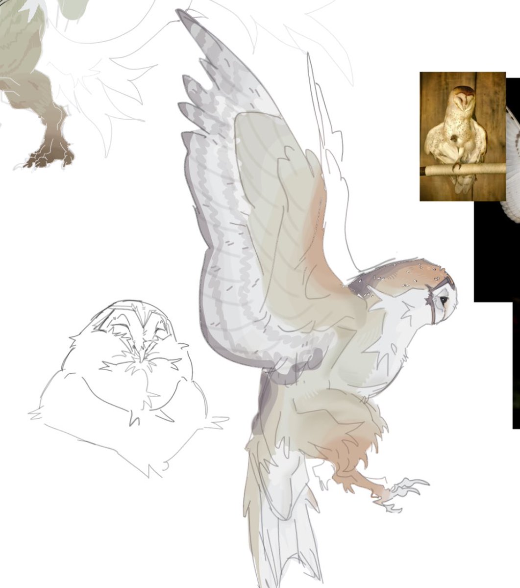 zzrxnnx's tweet photo. owl!? https://t.co/sICCnewMAp