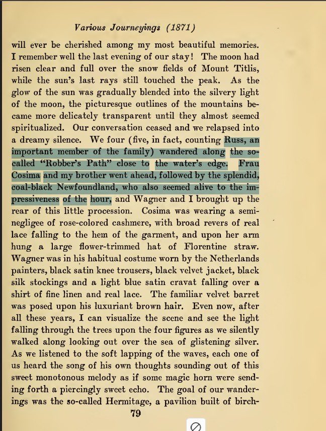 Qi_TheKey's tweet photo. @blknoiz06 ape the best lore coin on chain rn, Nietzsche basically had a dog that he literally said gave him the best years of his life and influenced his philosophy. THEE Nietzschean animal, $RUSS https://t.co/nIL1Ctc0nX