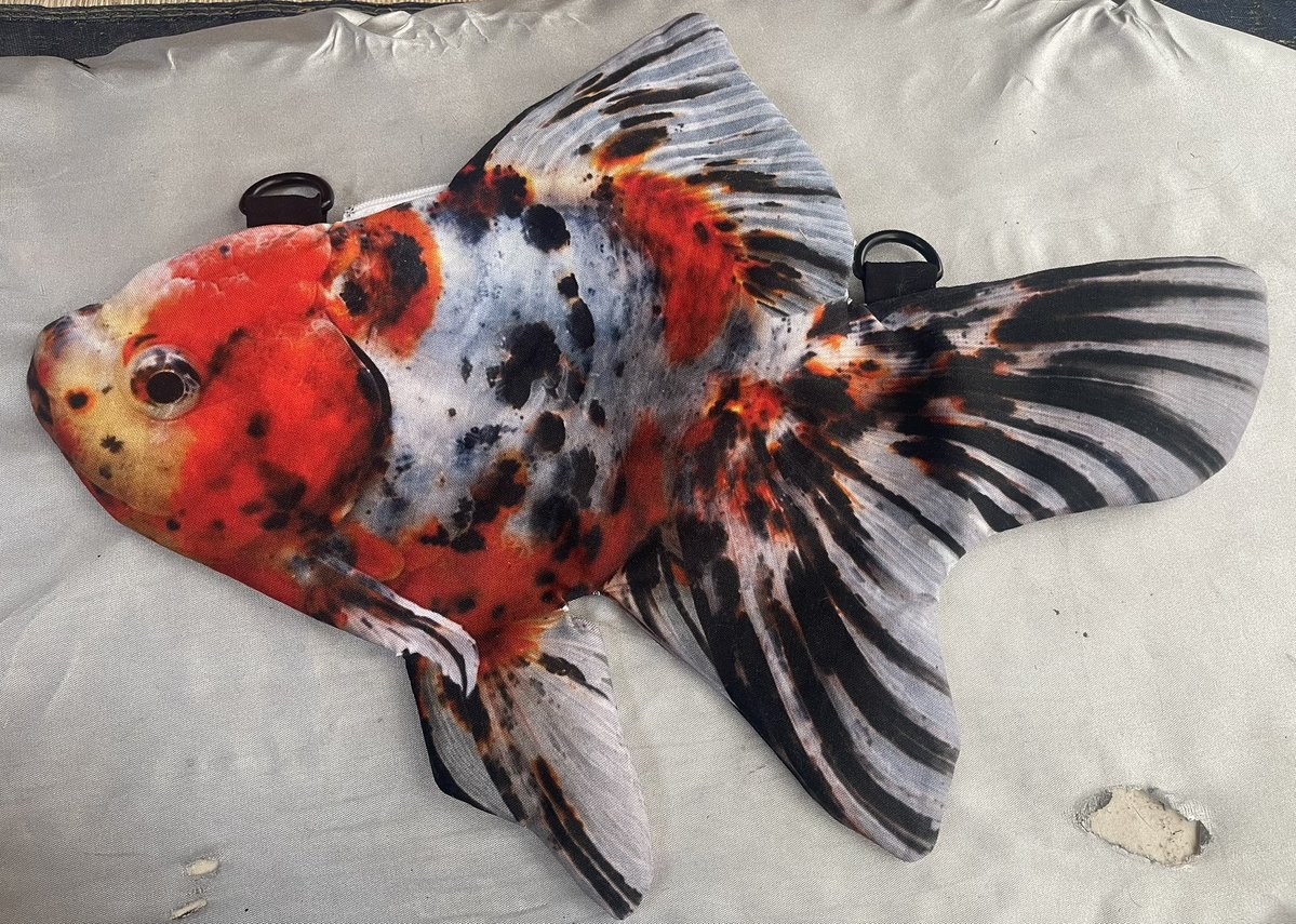 2dmsyoten's tweet photo. 👀「え、それバッグなん！？」

はい、バッグです🤣

今回は金魚をそのままバッグにしてみました🐟
持って歩けば、きっと誰かが二度見します🤭

二度見されたら大成功✨

#二度見商店 #ハンドメイド #金魚バッグ #魚バッグ #東錦 https://t.co/TwY7eM4mWp