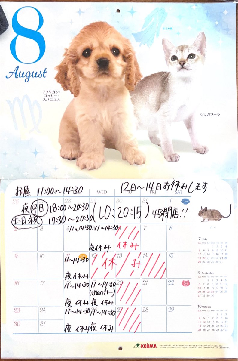 猫と月 chan mie noodles (@chanmienoodles) / Posts / X