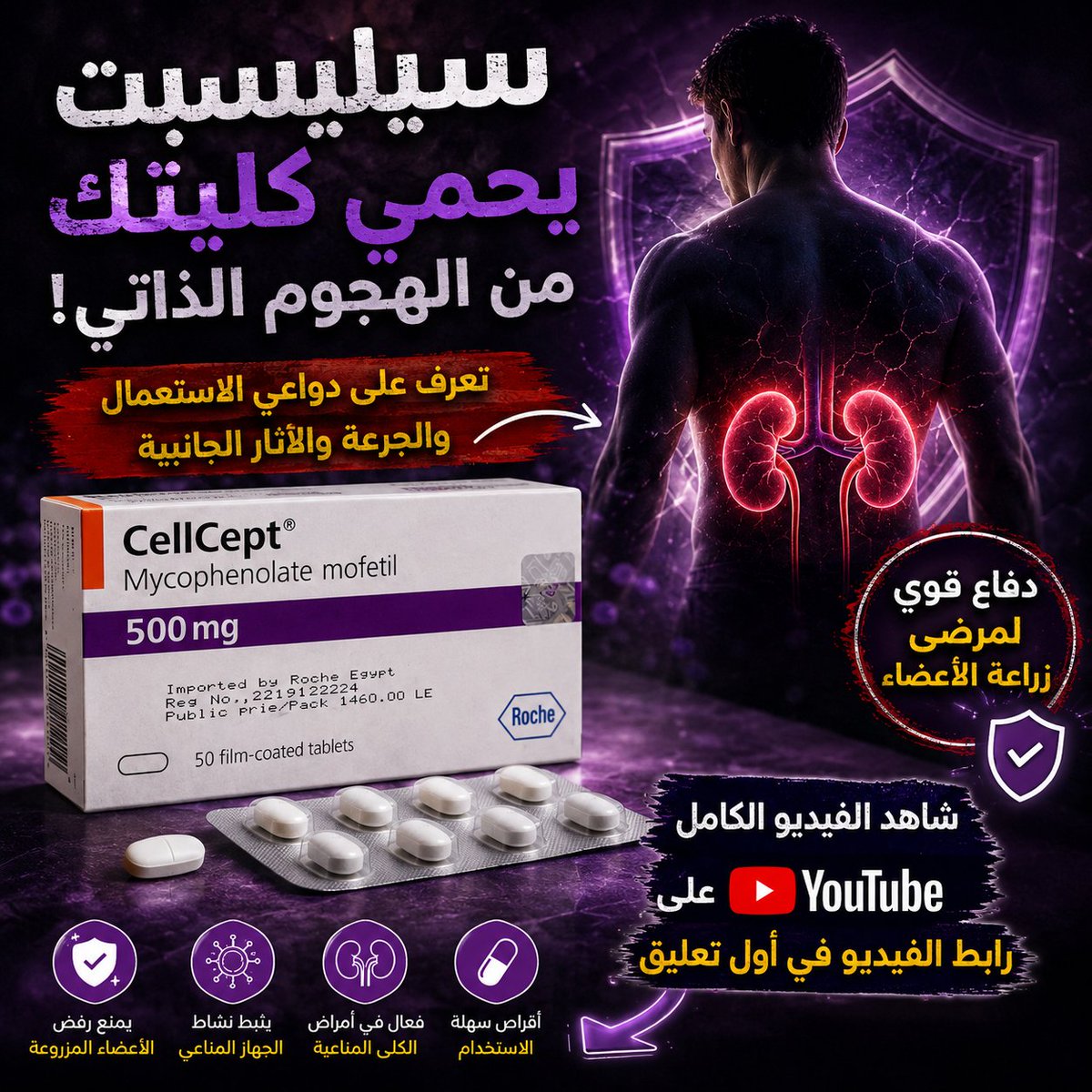Ahmedmahersoli's tweet photo. 🎥 في هذا الفيديو ستتعرف على: ✅ دواعي الاستعمال
✅ الجرعات وطريقة الاستخدام
✅ الآثار الجانبية المهمة
✅ التداخلات الدوائية والتحذيرات

📺 شاهد الفيديو كاملًا الآن: 🔗 [ https://t.co/vQbXt42Zgv  ]

#سيليسيبت #CellCept #Mycophenolate #زراعة_الأعضاء #المناعة #أمراضedical #Pharmacy https://t.co/IadDLEMaf2