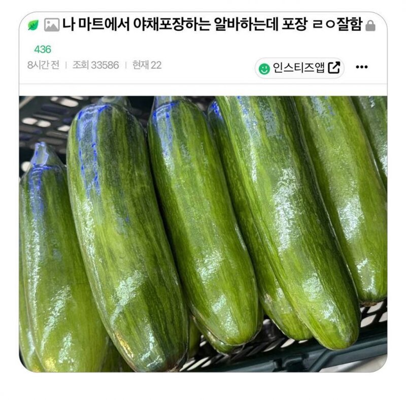 라이언홍 tweet media