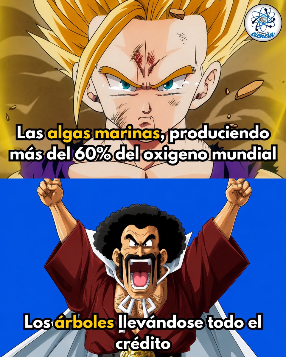 EnsedeCiencia's tweet photo. 👁️👄👁️ https://t.co/J3FQDpegfn