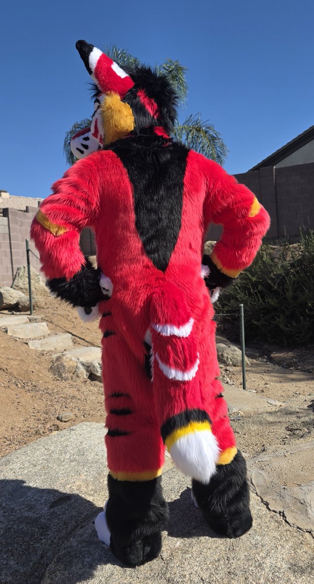 TaronFoxSnep's tweet photo. Ronin / Kaito the red striped fox is up for bids on the dealers den. 
#onefurallstudio
 https://t.co/GlJszd9rYp https://t.co/DG9Rq5rdeV