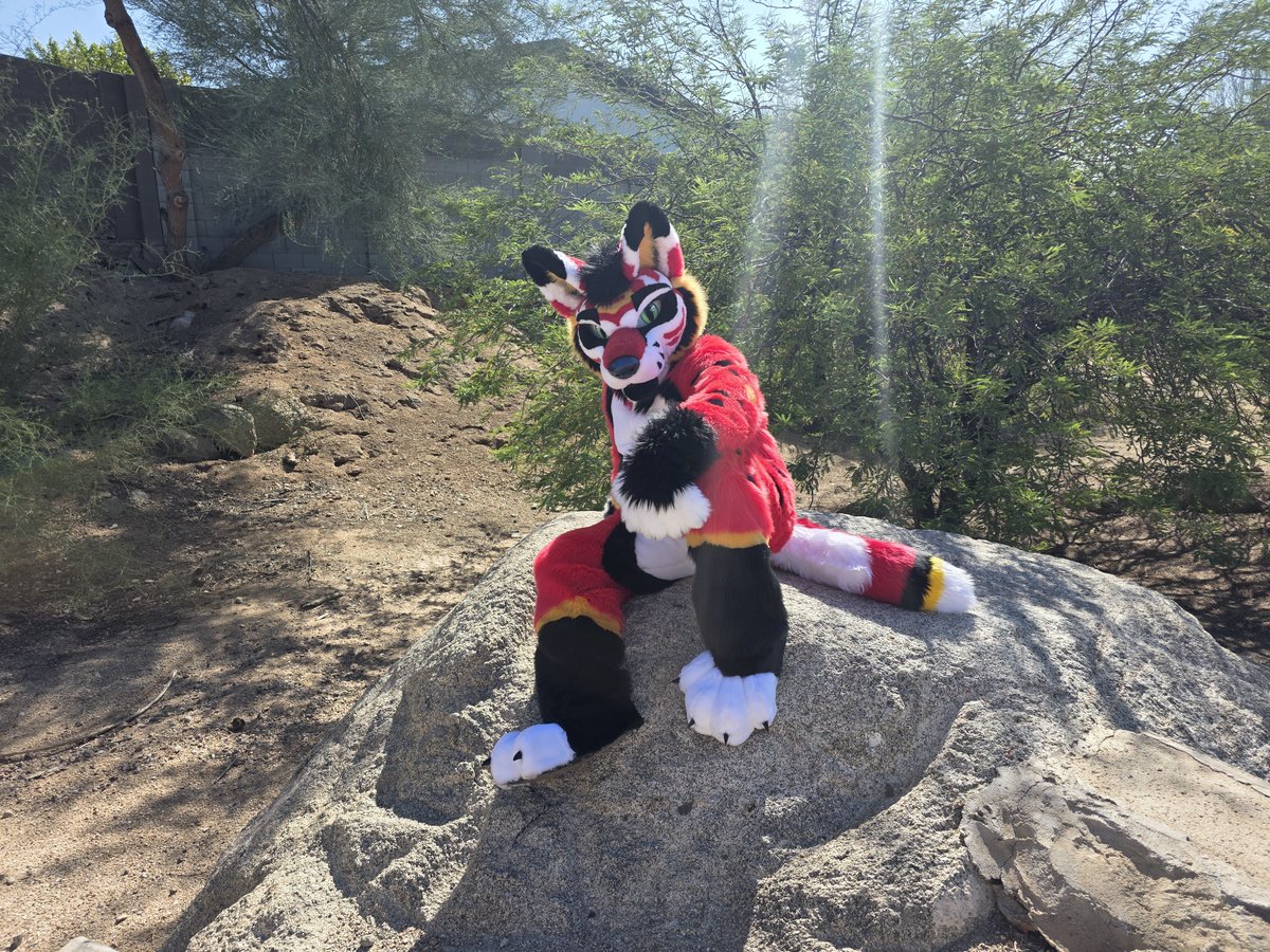 hotrodwolf1989's tweet photo. Hi all we have a suit up for sale on dealer's den if anyone been looking to get a OFA suit go check them out! Retweets are super helpful thanks everyone!! https://t.co/w9Z5xyO1Ex https://t.co/B3kRCfJqMz