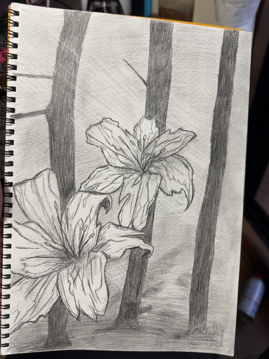 MsgPLAUca052742's tweet photo. flower https://t.co/9s0KLAnRRo