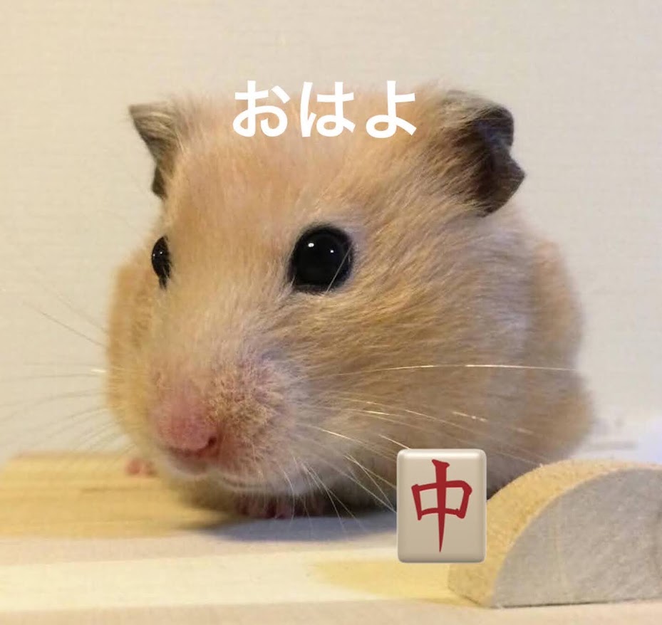toskalt8513's tweet photo. おはようございます😀
今月も元気に宜しくお願いします🍀
8月1日は？81牌 #麻雀の日 🀄で #パインの日 🍍で #ハイビスカスの日 🌺
花の首飾りしてトロピカルジュース飲んで麻雀しましょ😁
それでは、皆さん素敵な1日を✨💕
https://t.co/vKHuMCzQu1 https://t.co/F6UnOQsTLq