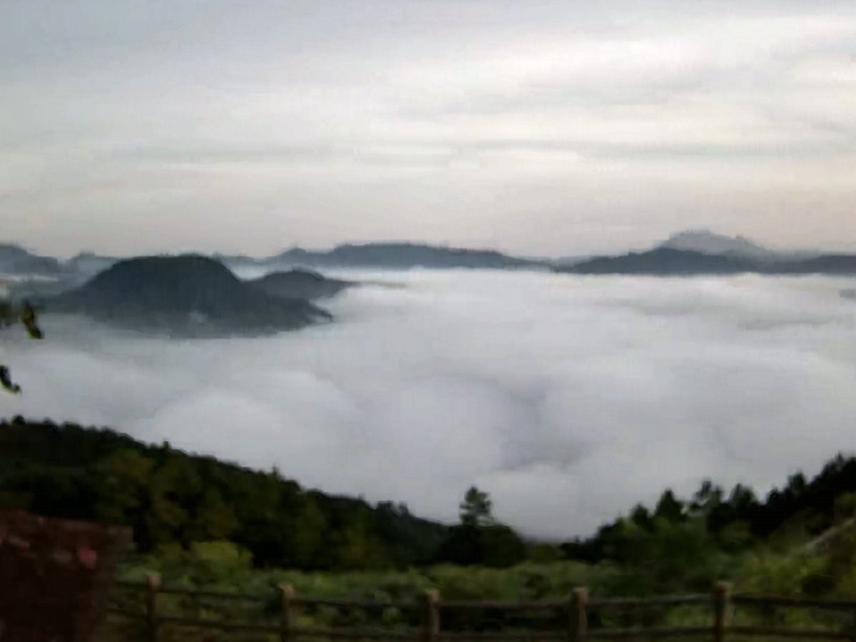 SHIGE_labo's tweet photo. 🌻8月初日！

今朝の島根県美郷町・田之原展望台🏔️

今日も大規模な雲海が発生しています✨
幻想的な雲海が広がり、とても清々しい朝です☀️
素敵な8月になりますように😊

#島根 #美郷町 #田之原展望台 #雲海 #雲海スポット https://t.co/OgiCeB8l8z