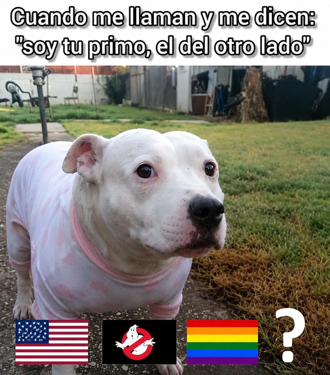 RincnCuriosoo's tweet photo. jajajaja https://t.co/346VHc05F6