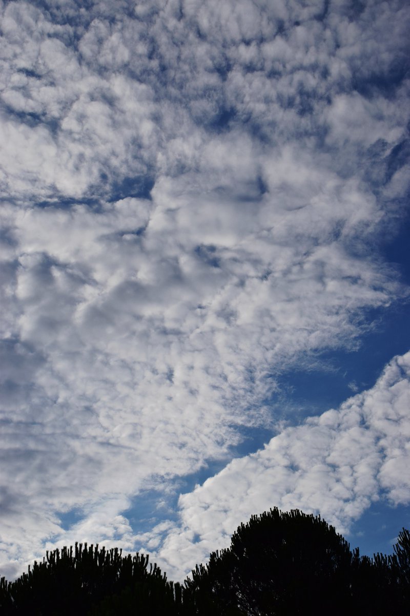 zeynepate317237's tweet photo. @Grampa1950 #clouds
#photography https://t.co/5G6pK2jMC4