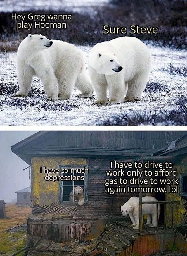 MemesToView's tweet photo. https://t.co/k6zpi1Hfbz