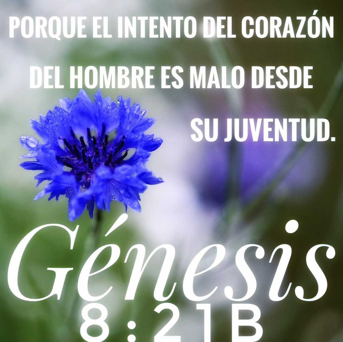 EJED_16's tweet photo. Así es https://t.co/ZLCd5yoedB
