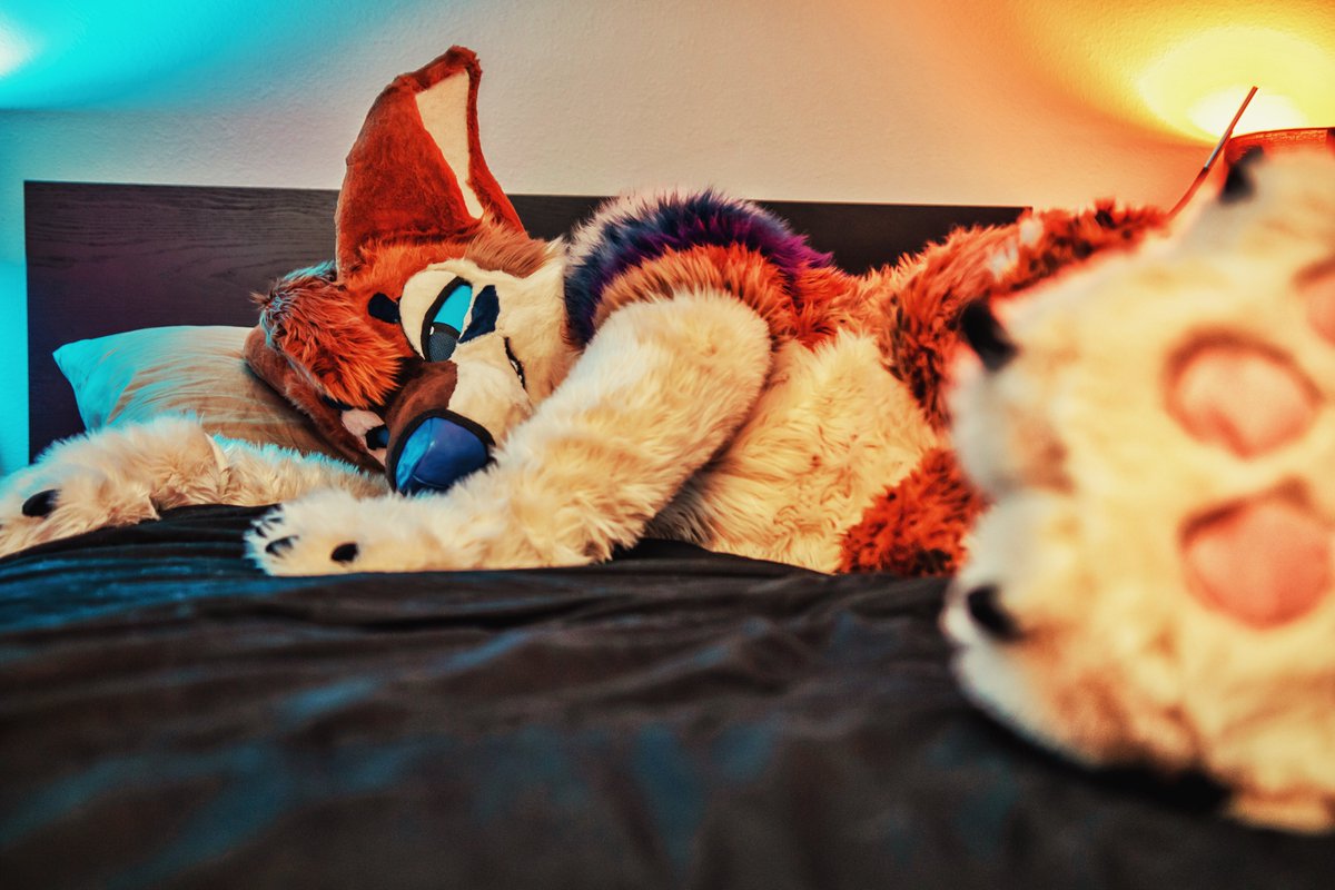 🏜️Desert Dog 🏜️ tweet media