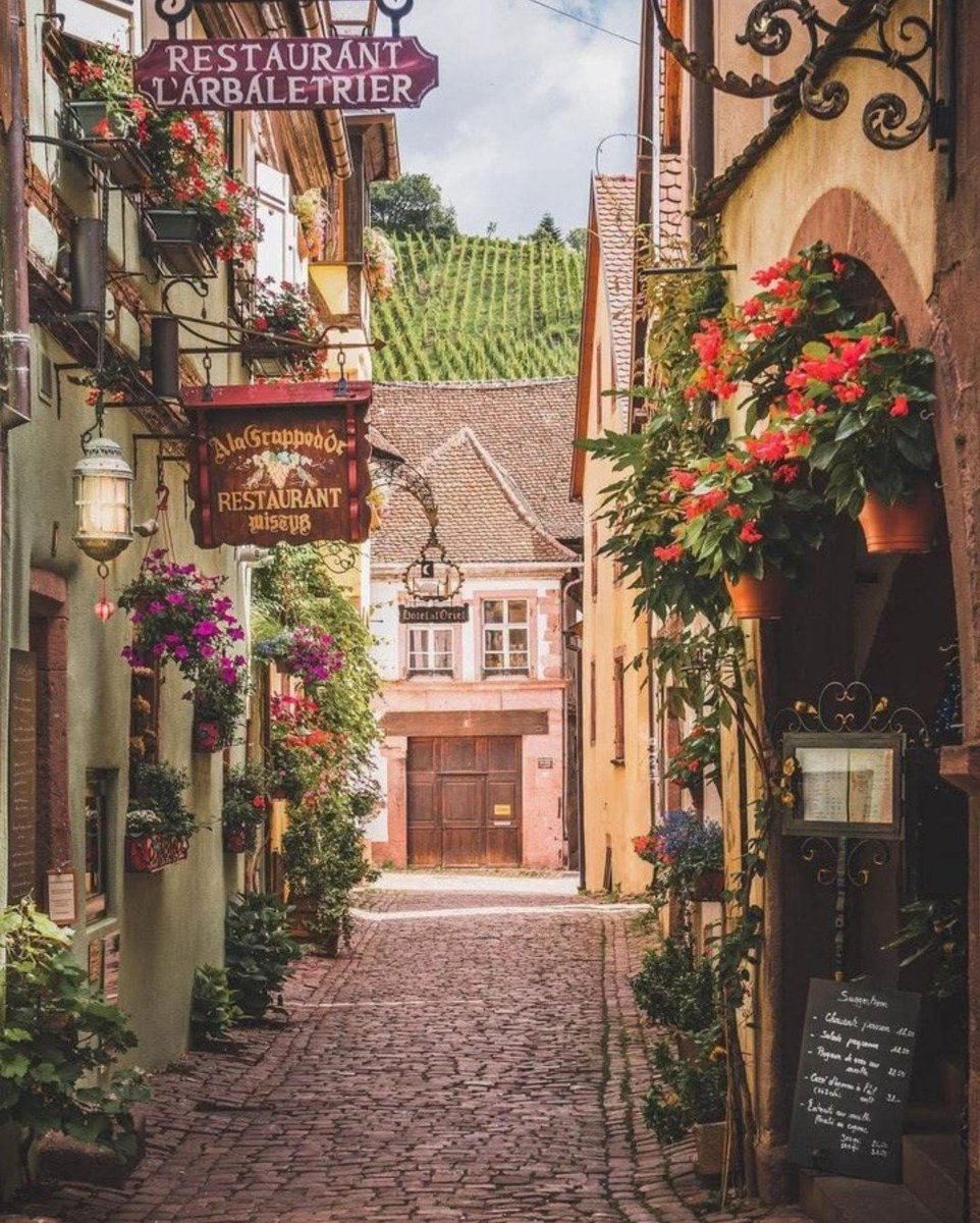 Violeta_Kocalev's tweet photo. French country 🥰 https://t.co/6rJ3KzcRtL