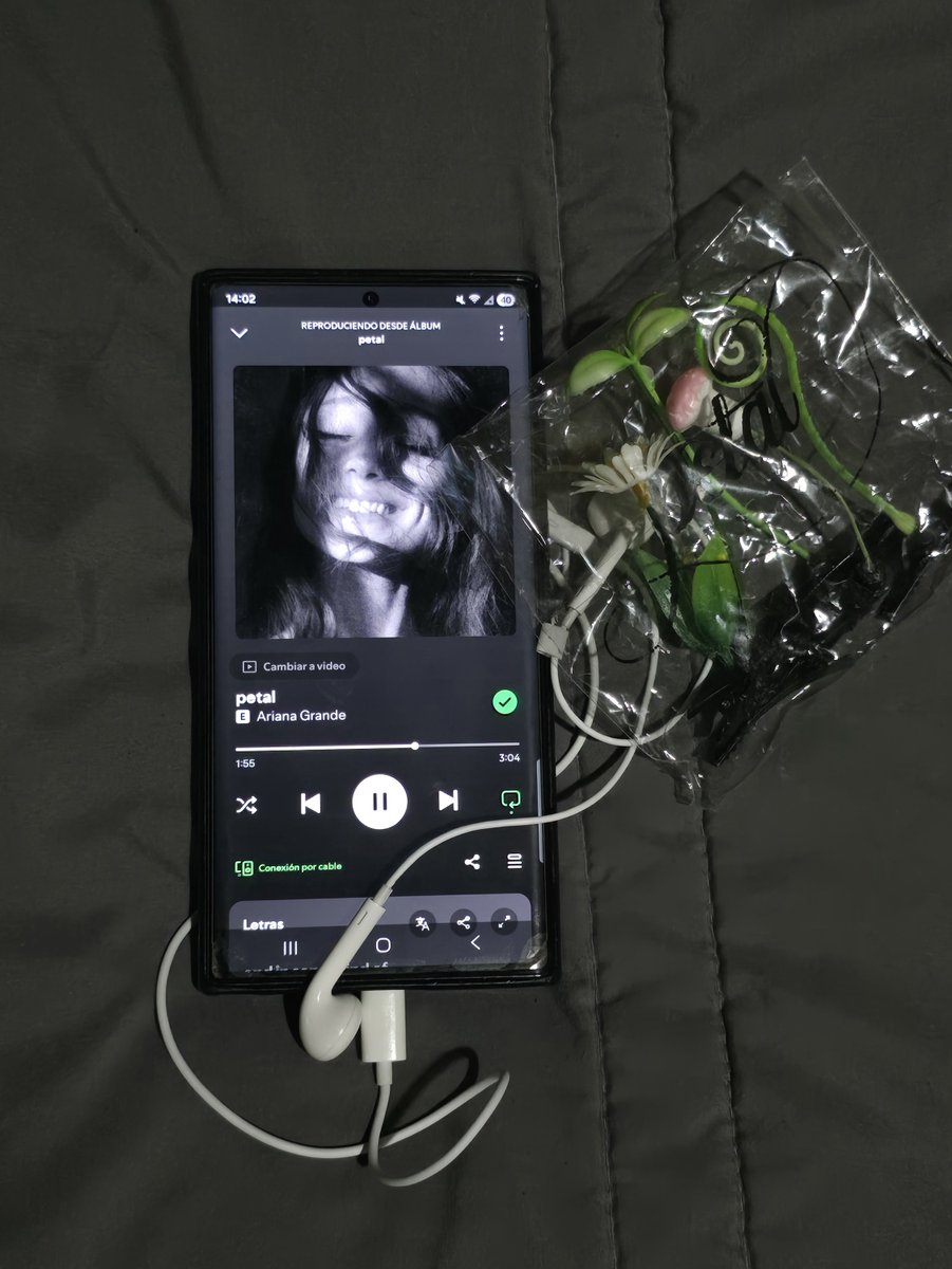 SimonUwaldo's tweet photo. Petal de Ariana Grande y Spider-Man: Brand New Day 🌼🕸
#arianagrande #spiderman https://t.co/AYwp8TvlBD