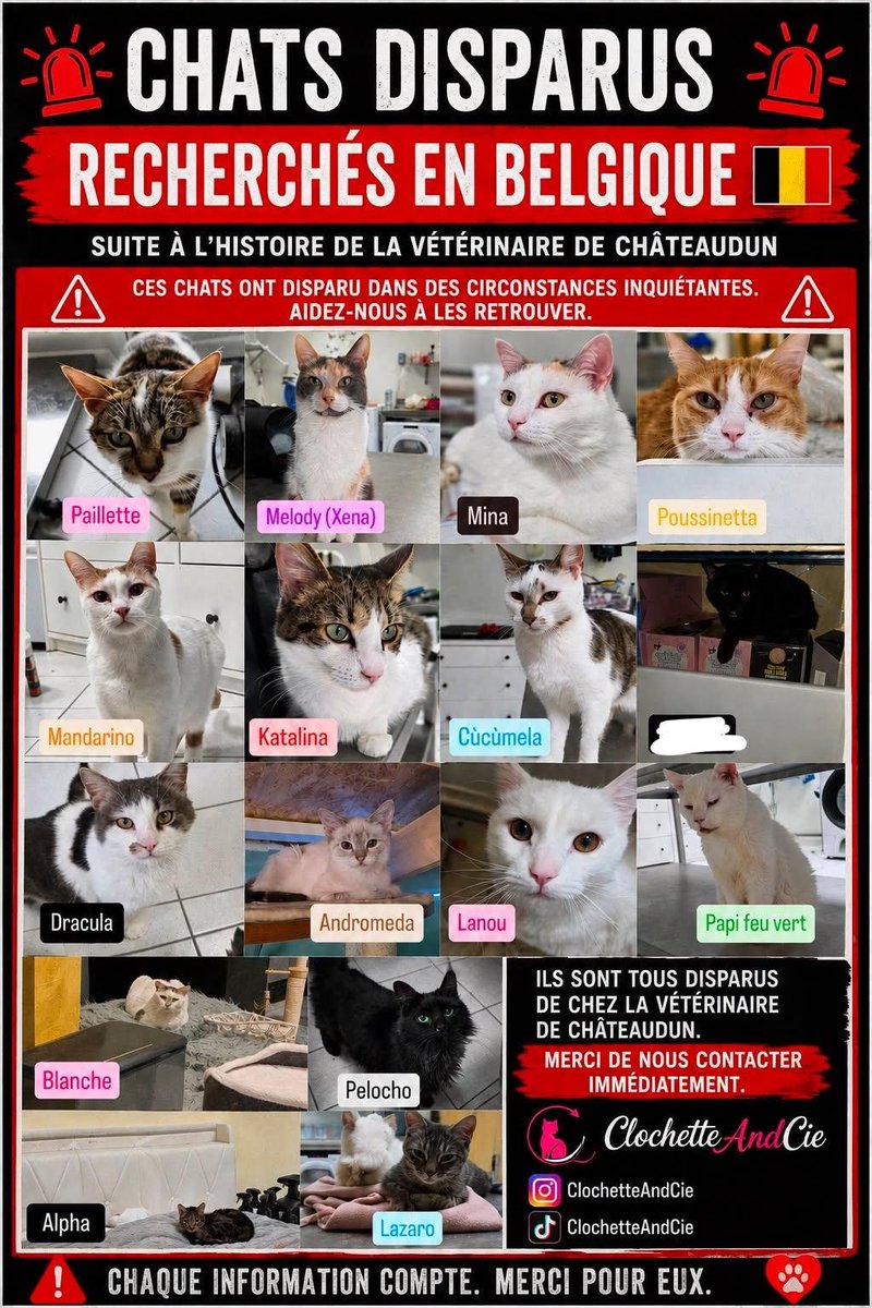 marchalsandra6's tweet photo. Reposte pour les retrouver 

https://t.co/ItOnby6DSE https://t.co/V7ECv55LcD