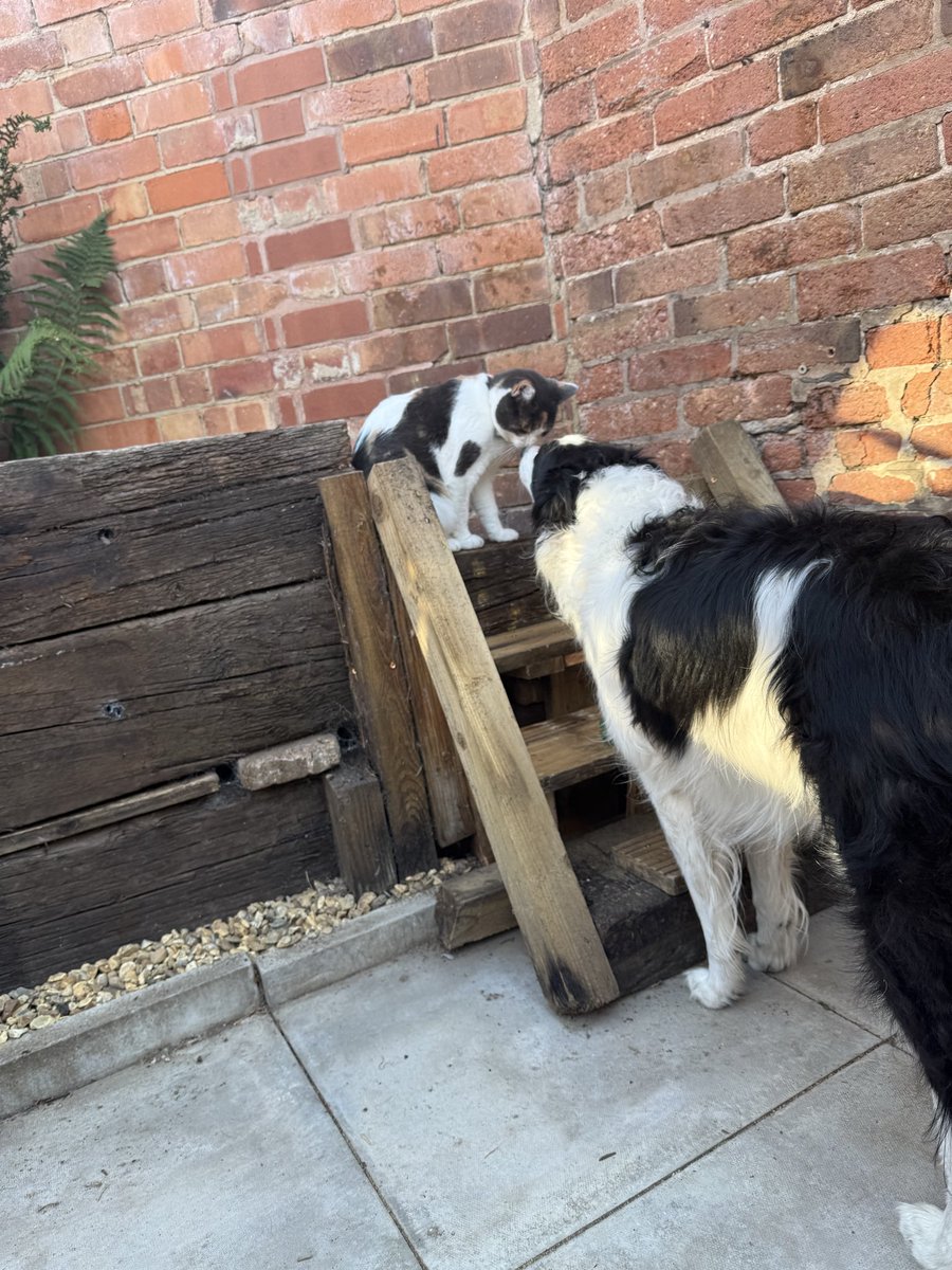 EscapedHere's tweet photo. Who needs toys #LoveIs https://t.co/WrLr6tHjaP