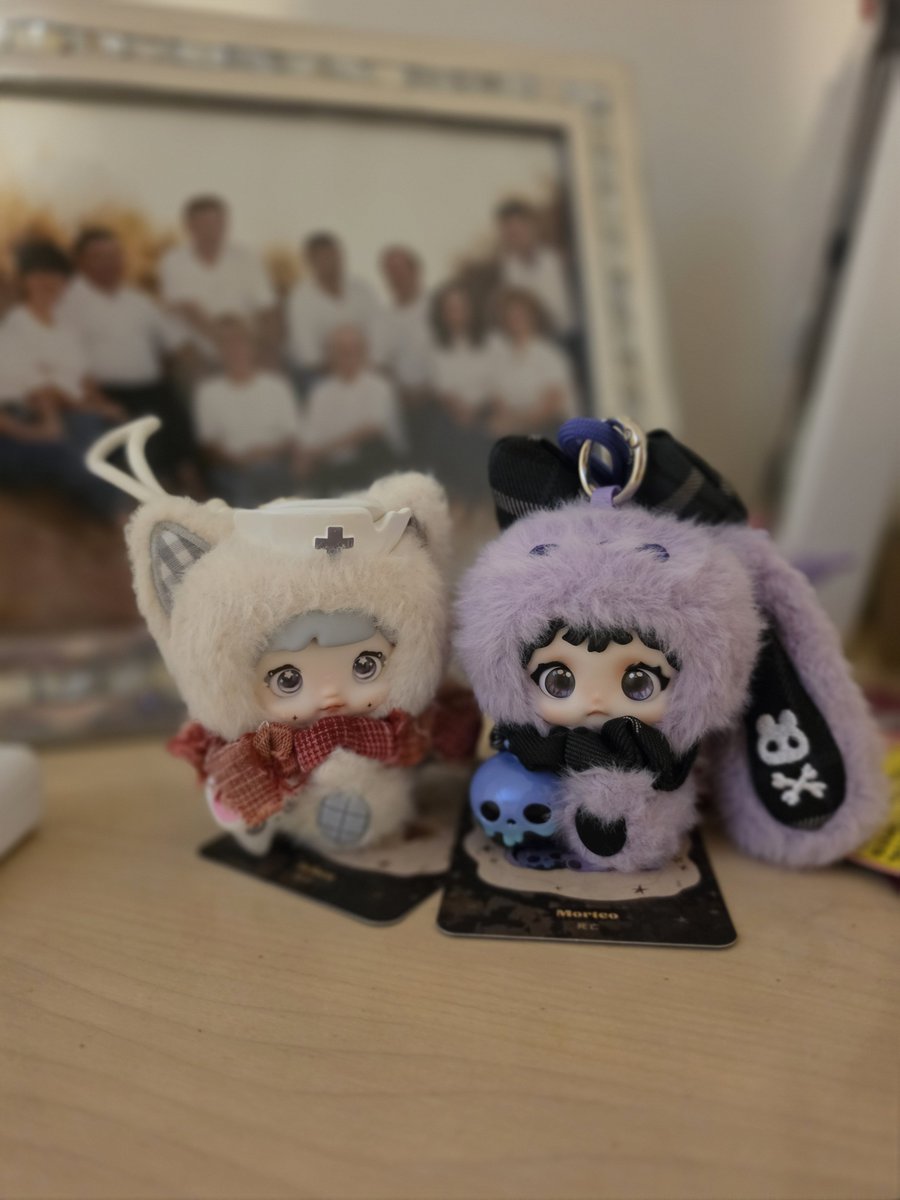 CuttingCharm's tweet photo. So I had to buy another, but got this one in Moncton yesterday and actually got one of the one's I wanted. 🥹
#Morteo #Acheo #Nommi #Heymi #NommixHeymi #NommiHeymi #Entwined https://t.co/25JUjtwFWC