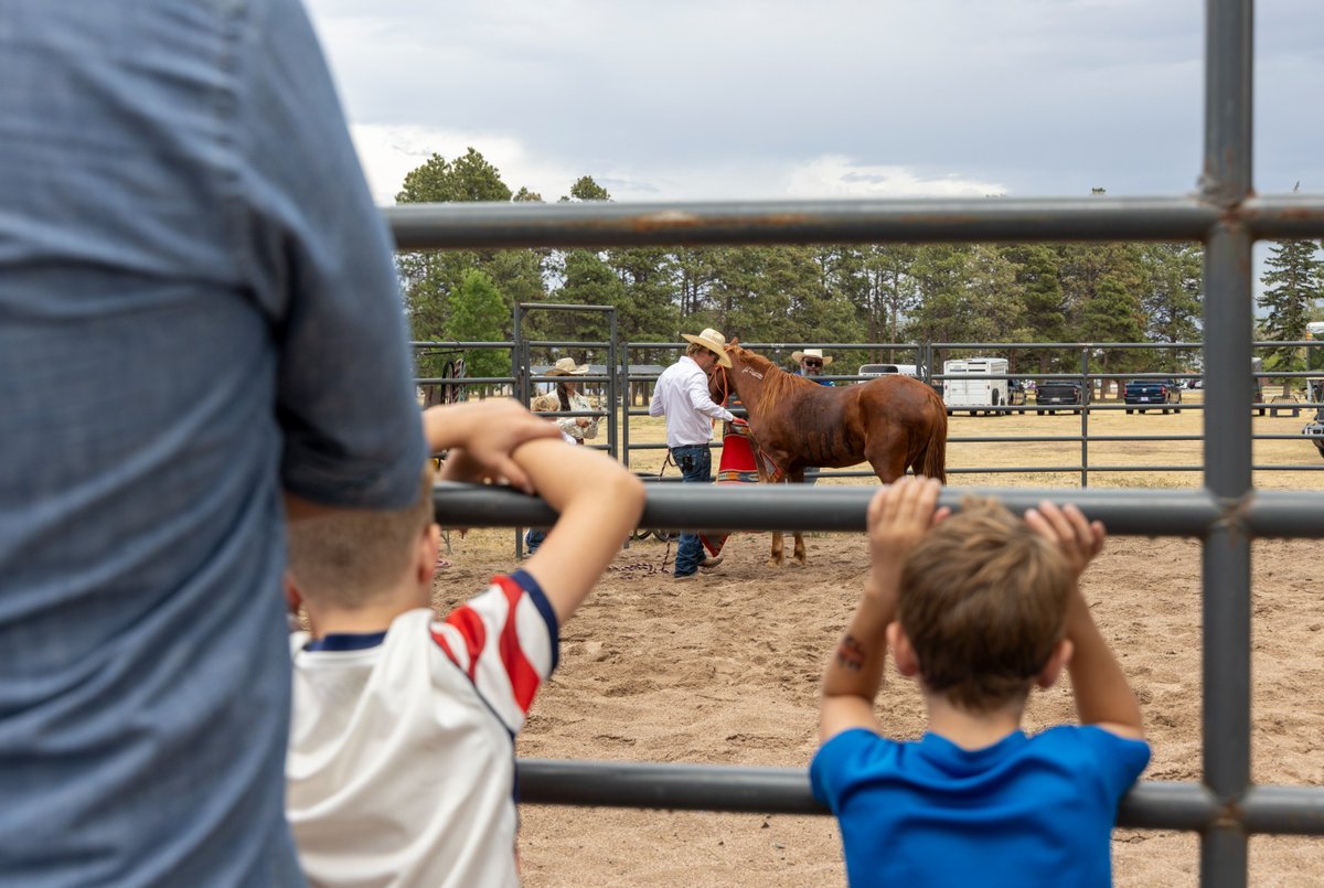 BLMWyoming's tweet photo. Turns out... hugs are part of adoption! All 15 wild horses &amp; burros found homes at Lion's Park. Thanks to Mantle Ranch &amp; all who joined! https://t.co/jggoSaoTOn https://t.co/8SWijcme70