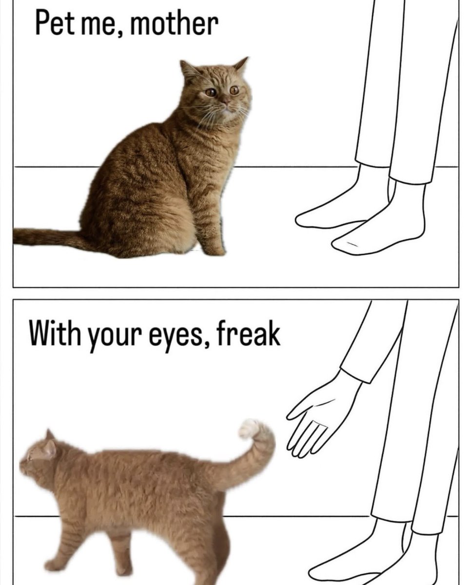 RespectfulMemes's tweet photo. https://t.co/AuBLcYBXD2