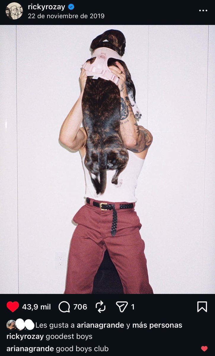 rickianaAF's tweet photo. ricky has always been a good boy https://t.co/NBsKPFH48m