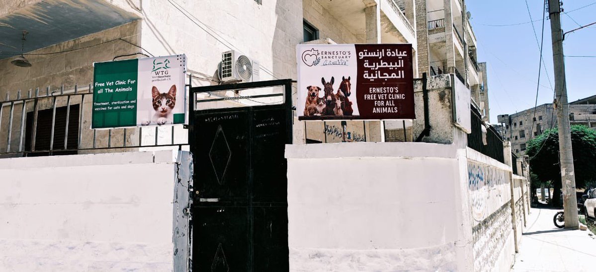 Ernesto’s Sanctuary for Syrian animls tweet media
