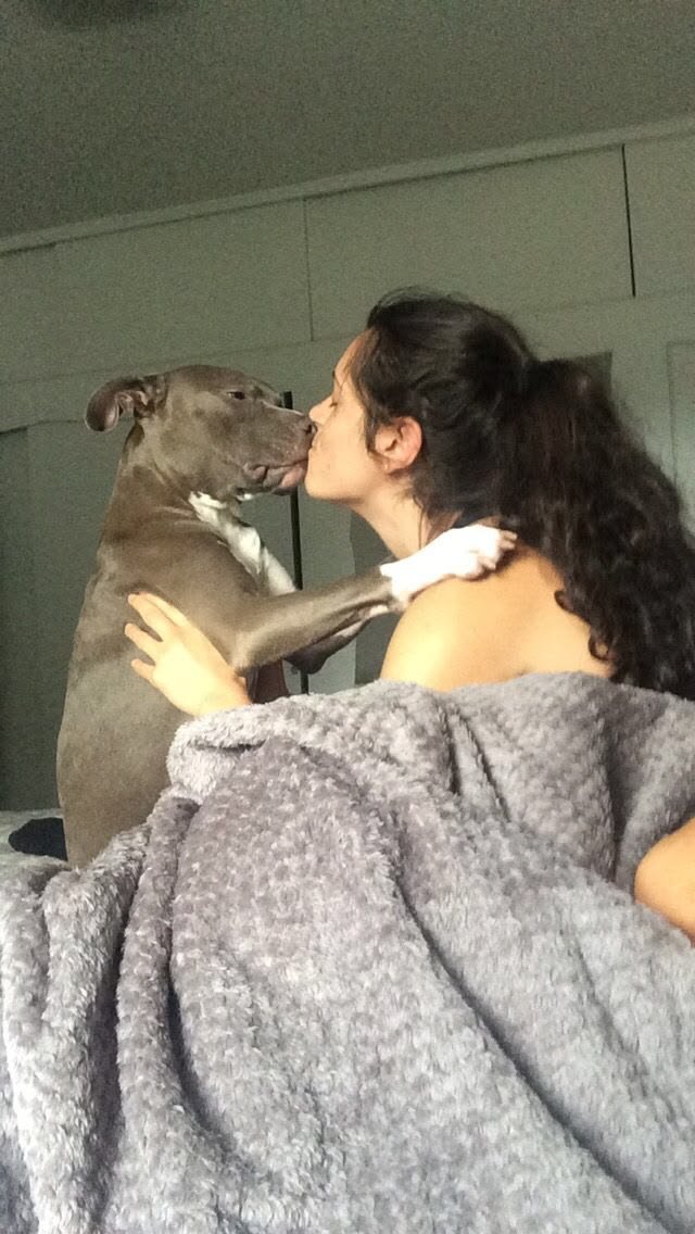 Sarahp0o's tweet photo. Forever a dog mother ❤️ 
#dogsdoitbetter #dogwhore
https://t.co/fnfxfOH96S https://t.co/UI5hvWwmNq