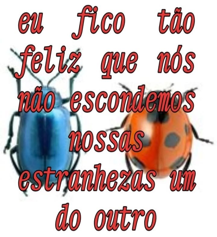 . tweet media
