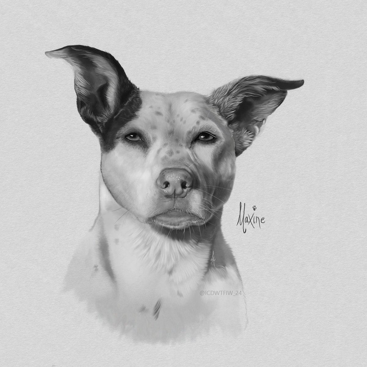 LA_Digital_Draw's tweet photo. Practising animal portrait drawing with Antony Starr's doggo Maxine. One hair at a time. 🫠

#AntonyStarr #Homelander #Drawing #DogArt https://t.co/lJm3RcL9Q7