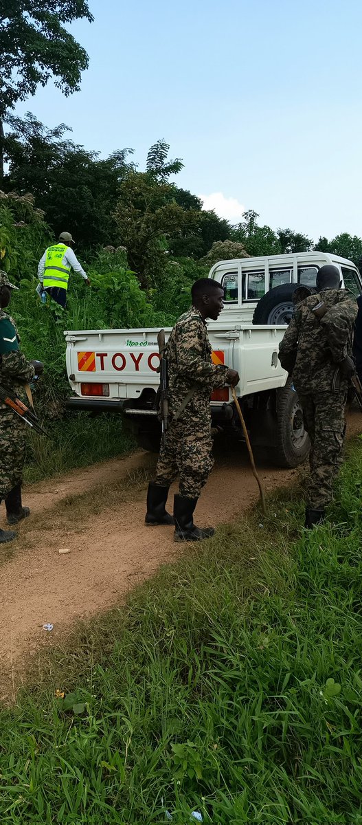 Dr_JibCares's tweet photo. #WorldRangers drive ecosystem restoration by protecting degraded habitats, removing invasive species, and monitoring biodiversity. They serve as the critical on-the-ground link between human communities and nature.
Cc @ExploreUganda @MTWAUganda @UWEC_EntebbeZoo @ctcconservation https://t.co/CgQETjEiyP