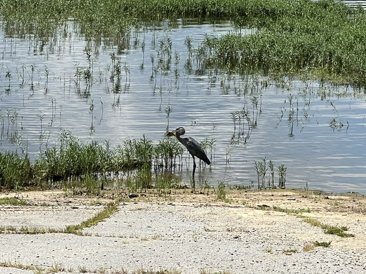 BrodyXIV's tweet photo. Gone fishing. https://t.co/jEGPKRnhFJ