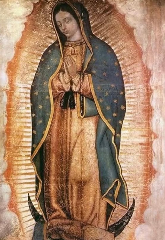 reina_padua's tweet photo. Si Maria hubiese pecado con Dios en su vientre, hubiera blasfemado.
Pero no lo hizo, porque nunca pecó. https://t.co/FGfILY0g3k