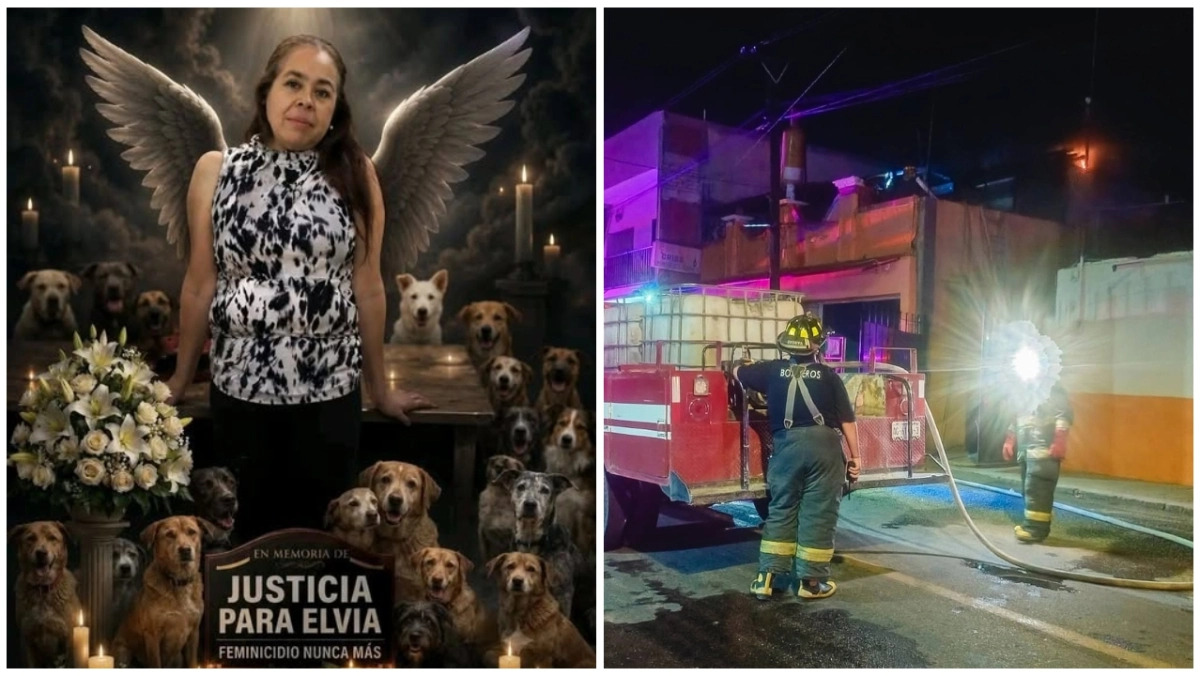 _right_n0w_'s tweet photo. El rescate de perros terminó en tragedia: pareja prende fuego a la casa y mata a Elvia en Aguascalientes https://t.co/dOIXdbEaHq #Aguascalientes #RescateDePerros #ElviaRamírez https://t.co/4fvrHLiA2m